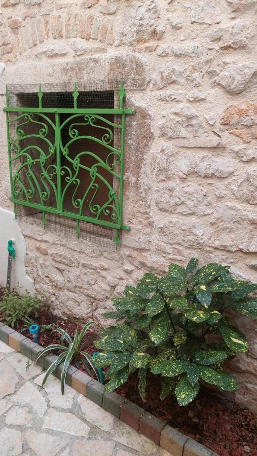 Studio With Garden In Rovigno Esterno foto